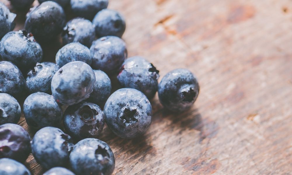 Blueberry Rooibos Antioxidant Smoothie