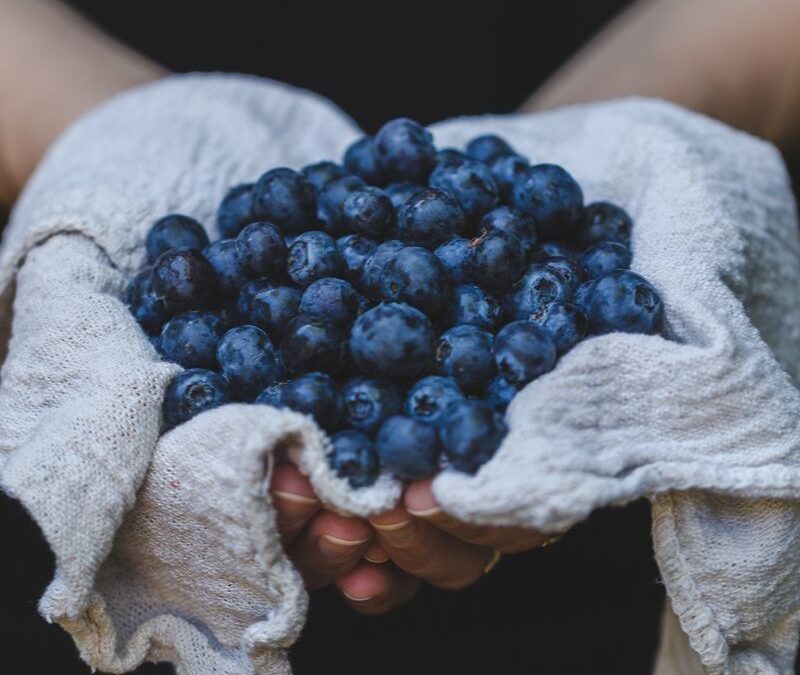 Blueberry-Walnut Vinaigrette